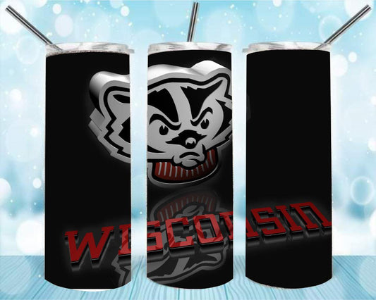 Badgers 20oz Skinny Tumbler – Insulated Stainless Steel with Straws & Brush
